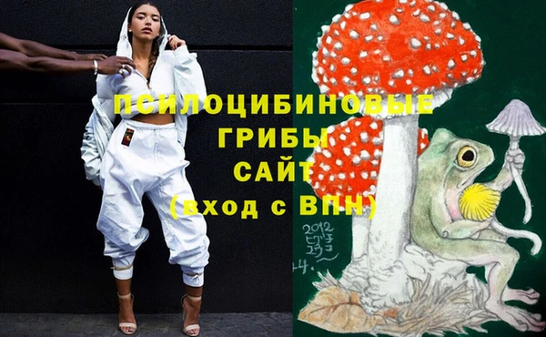 МДПВ Михайлов