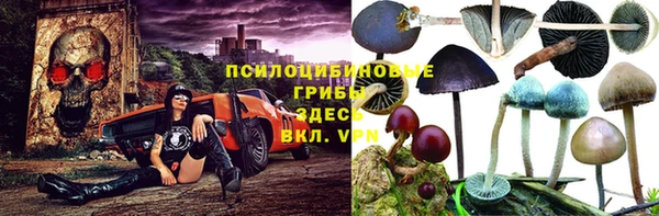 гидропоника Надым