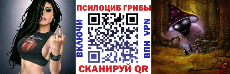 kraken ССЫЛКА  сколько стоит  Тында  Галлюциногенные грибы ЛСД 