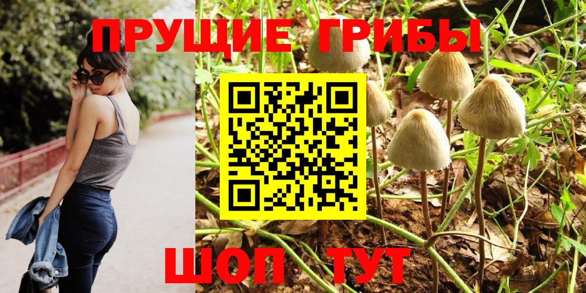 Галлюциногенные грибы мицелий Тында